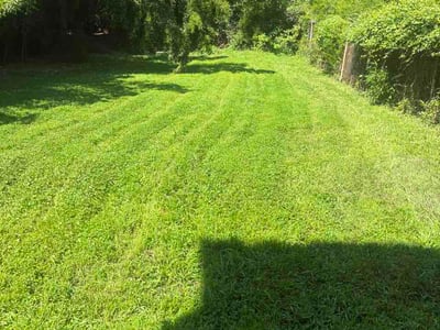 Lawn Care service in Dunbar, 15431