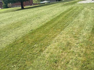 Lawn Care service in Dunbar, 15431
