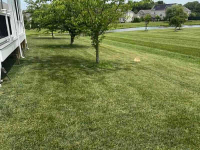 Lawn Care service in Middletown, 19709
