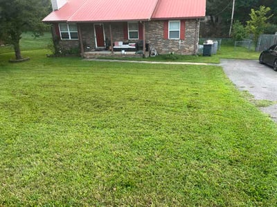 Lawn Care service in Hopkinsville, 42240