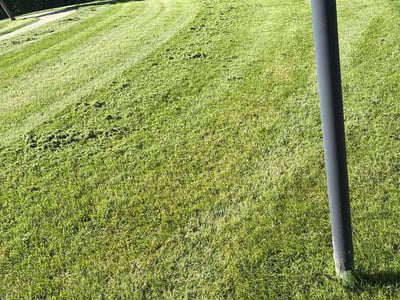 Lawn Care service in Kittanning, 16201