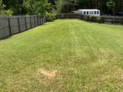 Lawn Care service in Biloxi, 39530