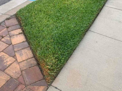 Lawn Care service in Palm Harbor, 34683