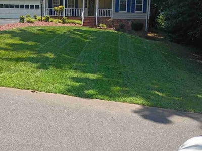 Lawn Care service in Lenoir, 28645