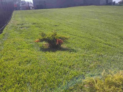 Lawn Care service in Papillion, 68046