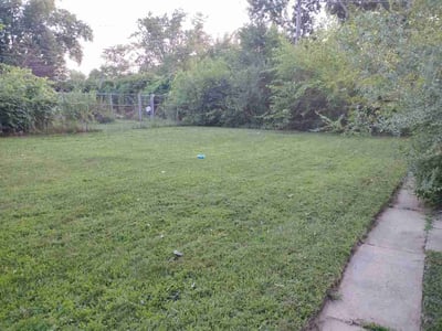 Lawn Care service in Brainerd, 56401
