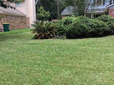 Lawn Care service in The Woodlands, 77380