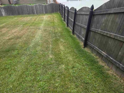 Lawn Care service in Papillion, 68046