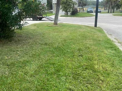 Lawn Care service in Beaufort, 29902