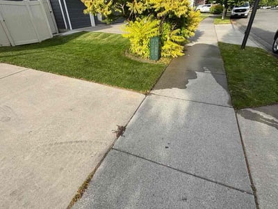 Lawn Care service in Coeur D Alene, 83814