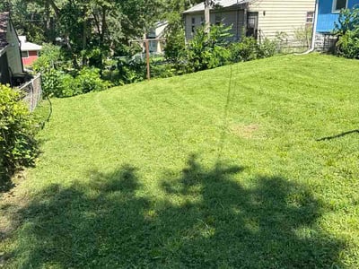 Lawn Care service in Jefferson City, 65101