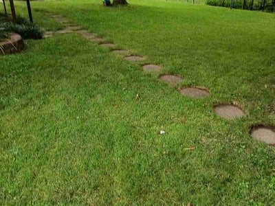 Lawn Care service in Clayton, 63105