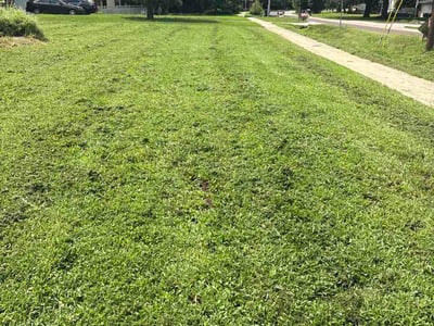 Lawn Care service in Clayton, 63105