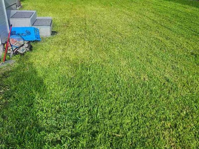 Lawn Care service in St. Petersburg, 33701