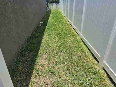 Lawn Care service in Land O Lakes, 34639