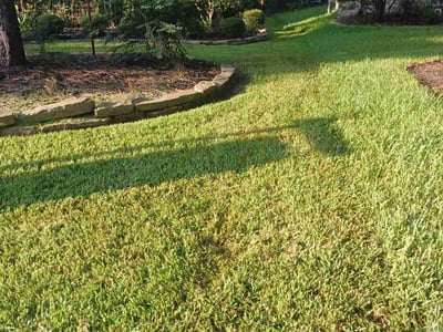 Lawn Care service in Magnolia, 77355