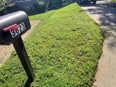 Lawn Care service in Billings, 59101