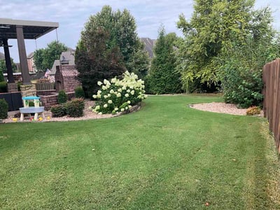 Lawn Care service in Texarkana, 71854