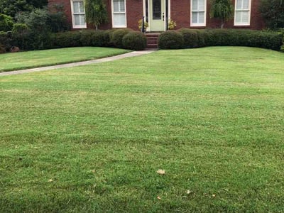 Lawn Care service in Homewood, 35209