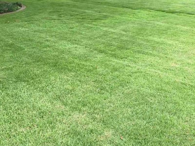 Lawn Care service in Homewood, 35209