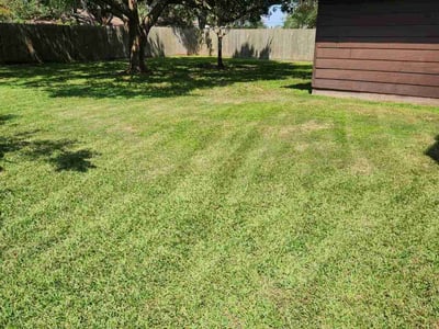 Lawn Care service in Lake Jackson, 77566