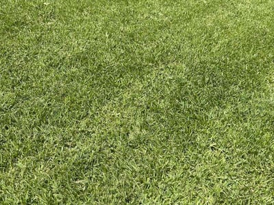 Lawn Care service in Richmond, 77469