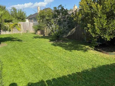 Lawn Care service in Richmond, 77469