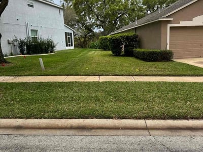 Lawn Care service in Brandon, 33511