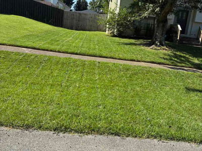 Lawn Care service in Imperial, 15126