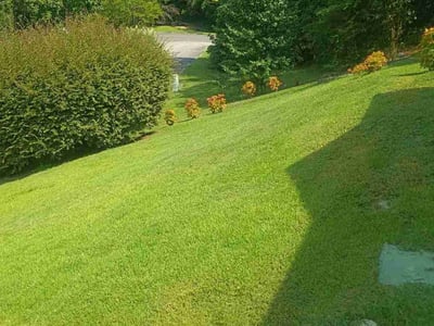 Lawn Care service in Gardendale, 35071