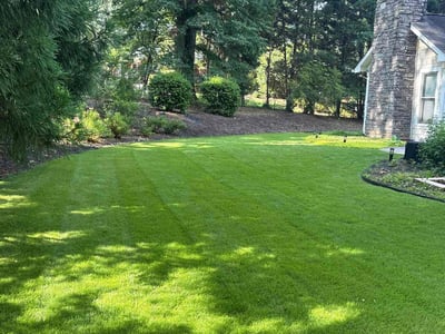 Lawn Care service in ,