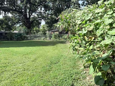Lawn Care service in Republic, 65738