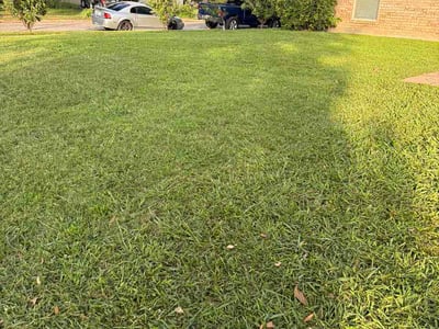 Lawn Care service in White Settlement, 76108