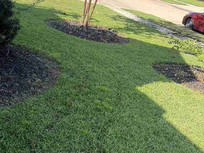Lawn Care service in Rosenberg, 77471