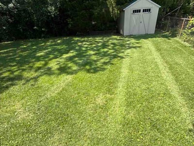 Lawn Care service in Pottsville, 17901
