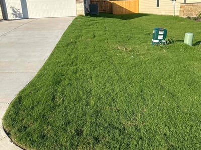 Lawn Care service in Waco, 76701