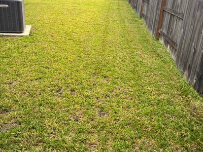 Lawn Care service in Kingwood, 77339