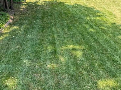 Lawn Care service in New Hope, 55428