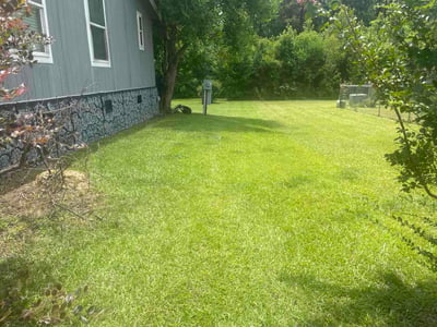 Lawn Care service in West Monroe, 71291