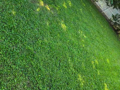 Lawn Care service in Granite City, 65401