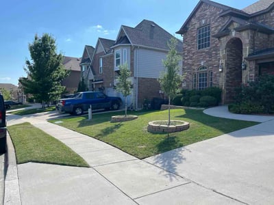 Lawn Care service in Fort Worth, 76102