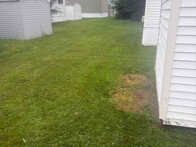 Lawn Care service in Goshen, 46526