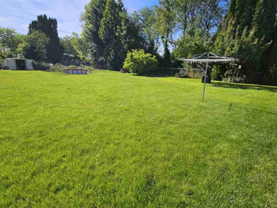 Lawn Care service in Boise, 83702