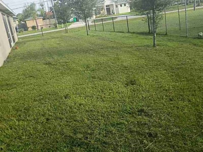 Lawn Care service in Lake Worth, 33460