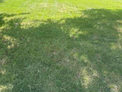 Lawn Care service in Hightstown, 08520