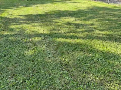 Lawn Care service in Granite City, 65401