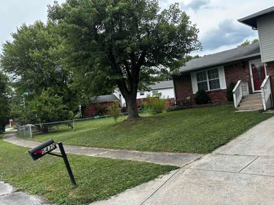 Lawn Care service in Hightstown, 08520