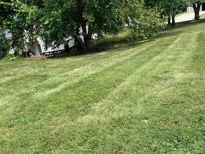 Lawn Care service in Columbia, 65201