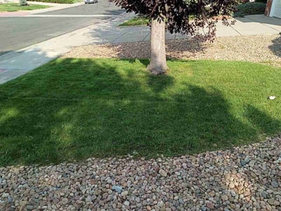 Lawn Care service in Granite City, 65401
