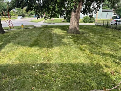 Lawn Care service in Boise, 83702